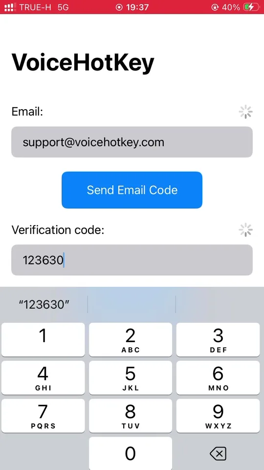 Bestätigungscode eingegeben, Log in Button