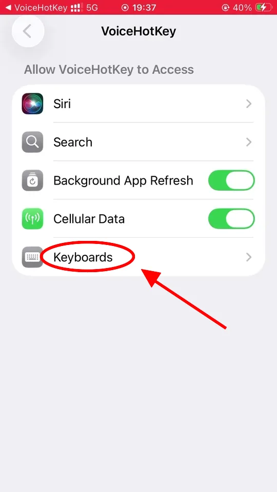iOS-Einstellungen mit dem VoiceHotKey-Zugriff