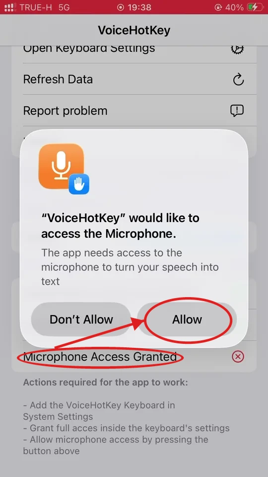 iOS-Dialog zur Mikrofonberechtigung